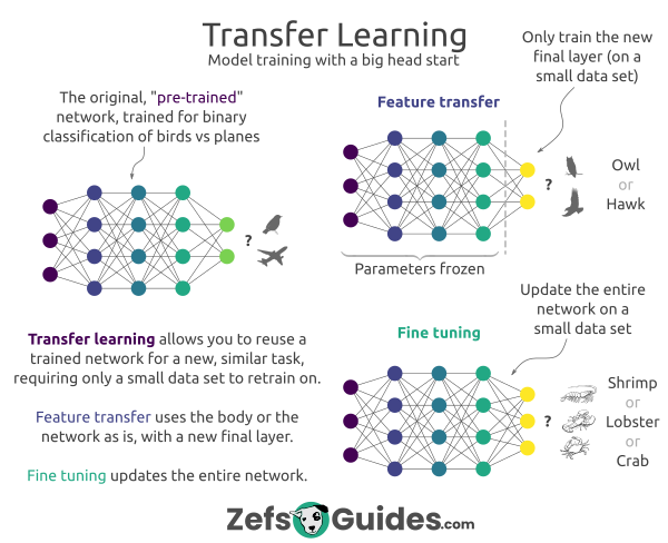 Feature Transfer vs Fine-tuning overview